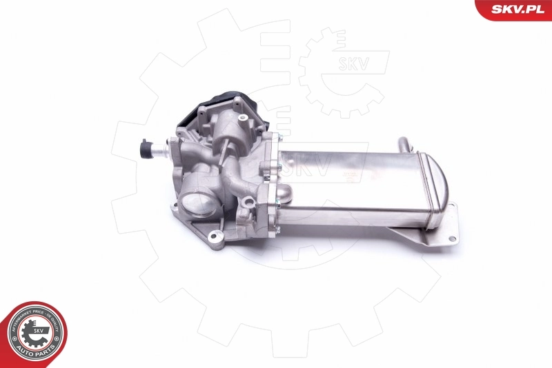 EGR Valve